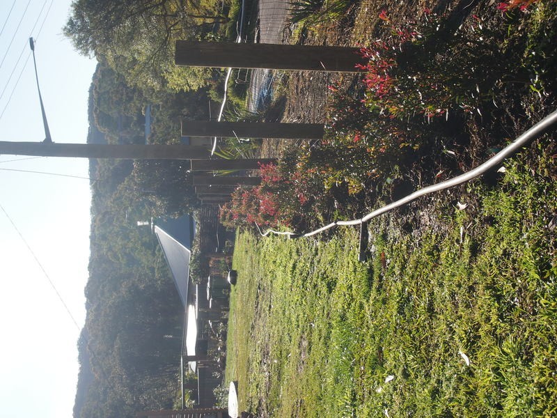 136 Hansens Road, Tumbi Umbi NSW 2261