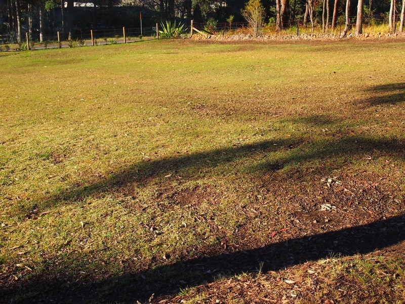 136 Hansens Road, Tumbi Umbi NSW 2261