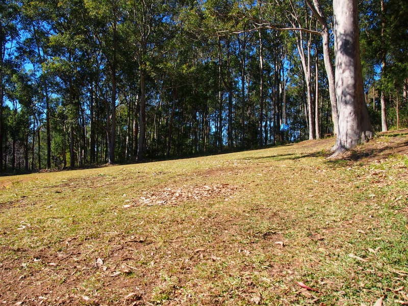 136 Hansens Road, Tumbi Umbi NSW 2261