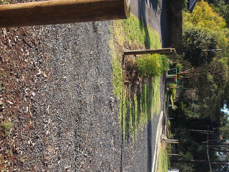 136 Hansens Road, Tumbi Umbi NSW 2261