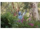 19  Brora Grove, Boya WA 6056