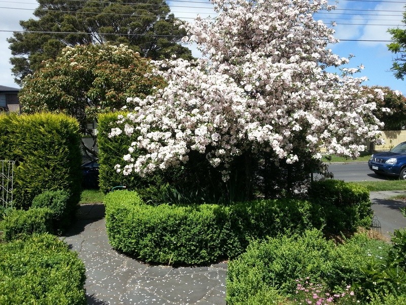 13 Greville Street, Huntingdale VIC 3166