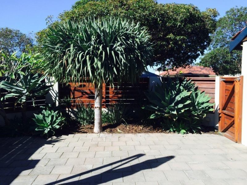 199 Hancock Street, Doubleview WA 6018