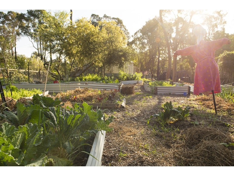 675 Traylen Road, Stoneville WA 6081