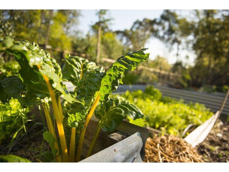 675 Traylen Road, Stoneville WA 6081