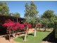 20 Skull Springs Road, Nullagine WA 6758