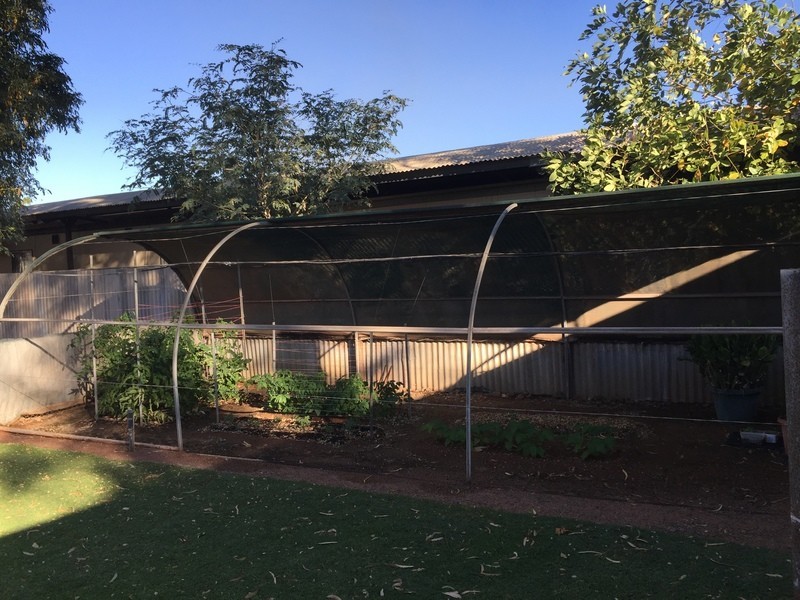 20 Skull Springs Road, Nullagine WA 6758