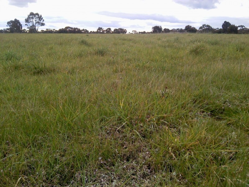 8 Massimo Court, Maryborough VIC 3465