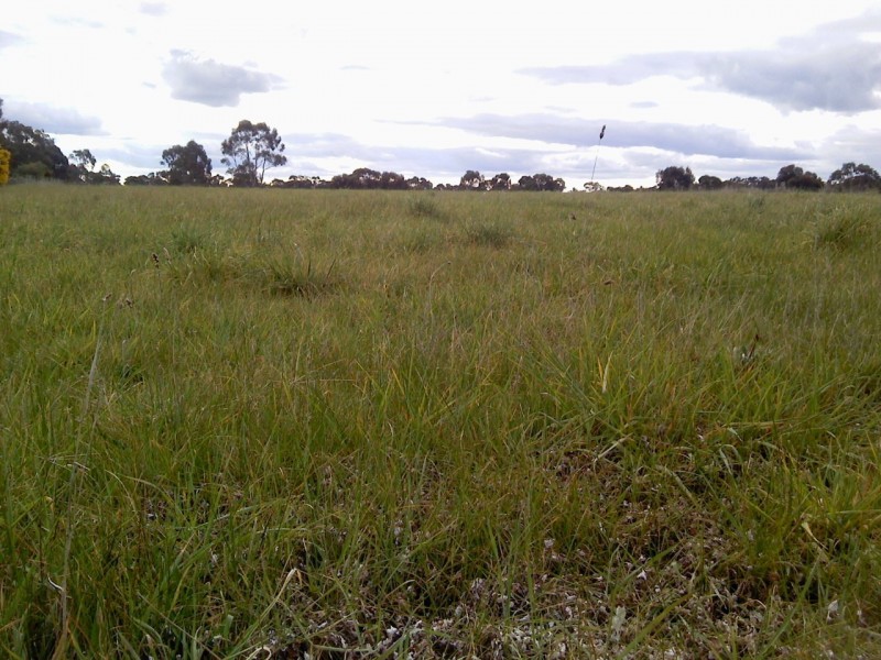 8 Massimo Court, Maryborough VIC 3465