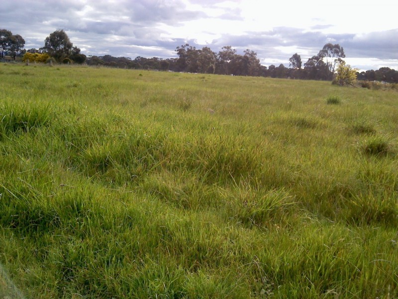 8 Massimo Court, Maryborough VIC 3465