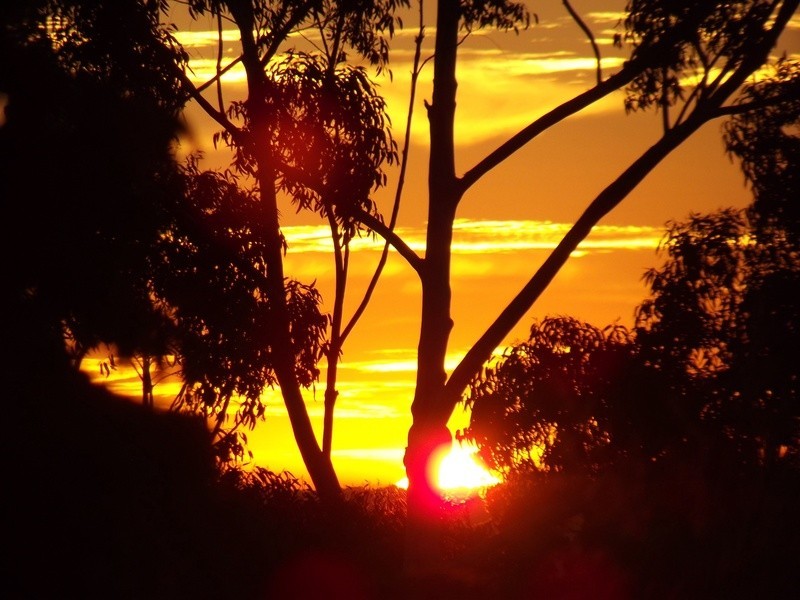 34 Dryandra Crescent, Darlington WA 6070