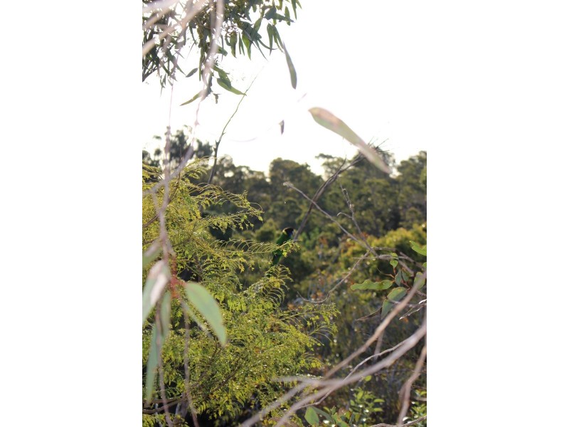 34 Dryandra Crescent, Darlington WA 6070