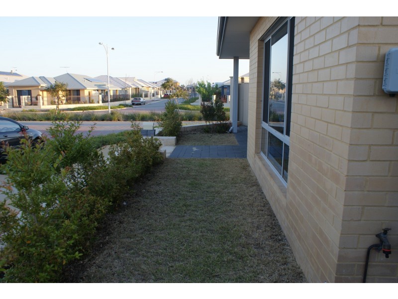 16 Pricklybark Street, Harrisdale WA 6112