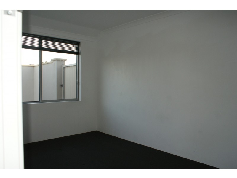 16 Pricklybark Street, Harrisdale WA 6112