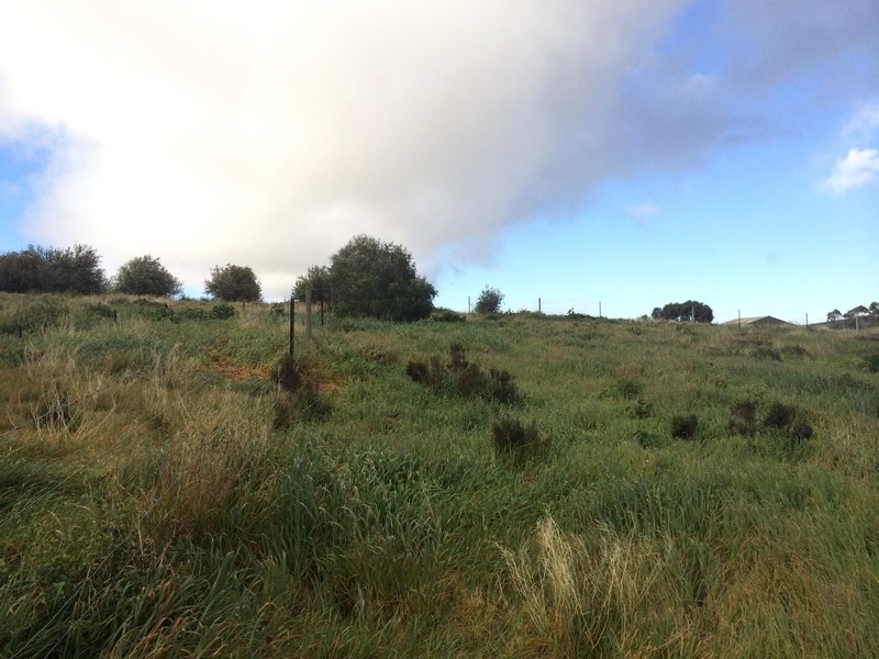 Lot 16 and Lot 17 West Terrace, Burra SA 5417