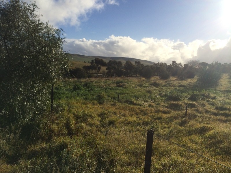 Lot 16 and Lot 17 West Terrace, Burra SA 5417