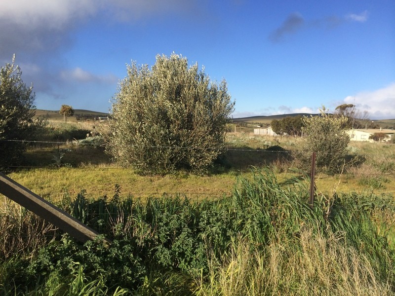 Lot 16 and Lot 17 West Terrace, Burra SA 5417