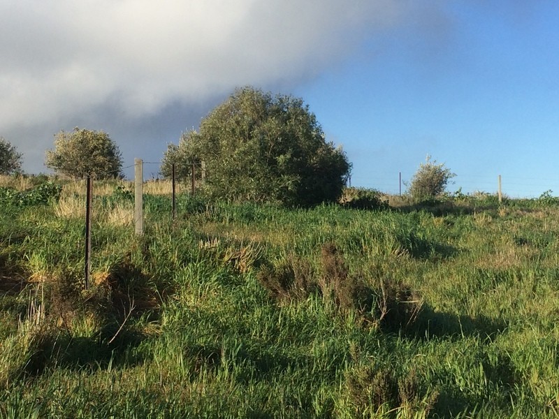 Lot 16 and Lot 17 West Terrace, Burra SA 5417