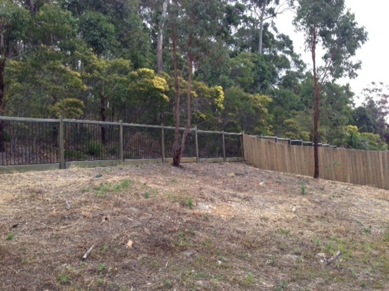 20 Skyburnett Street, Reedy Creek QLD 4227