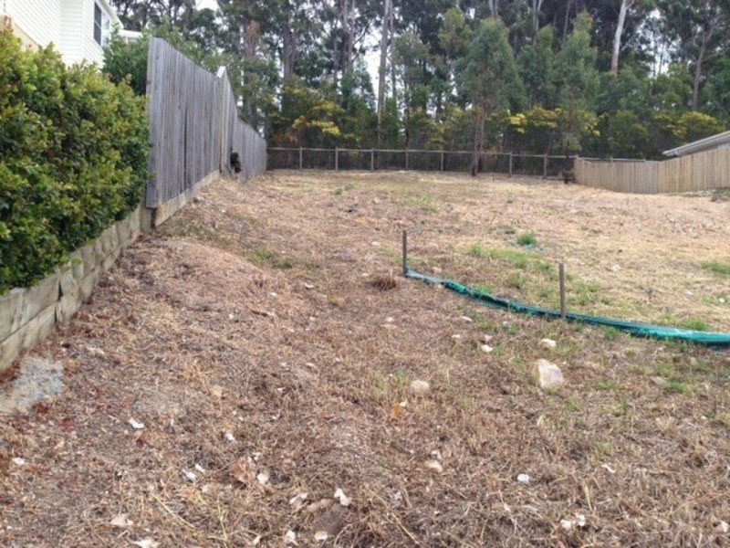 20 Skyburnett Street, Reedy Creek QLD 4227