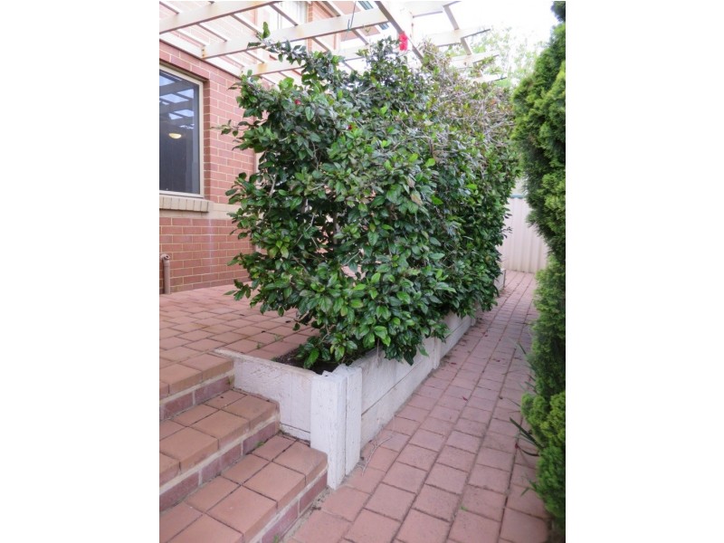 29c Clearview Avenue, Yokine WA 6060