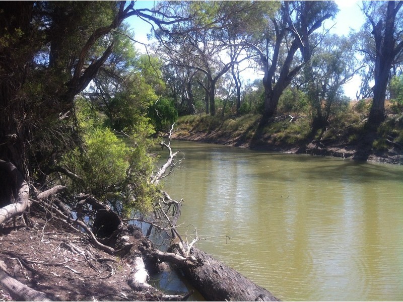 215  St Geroges st, Mungindi NSW 2406