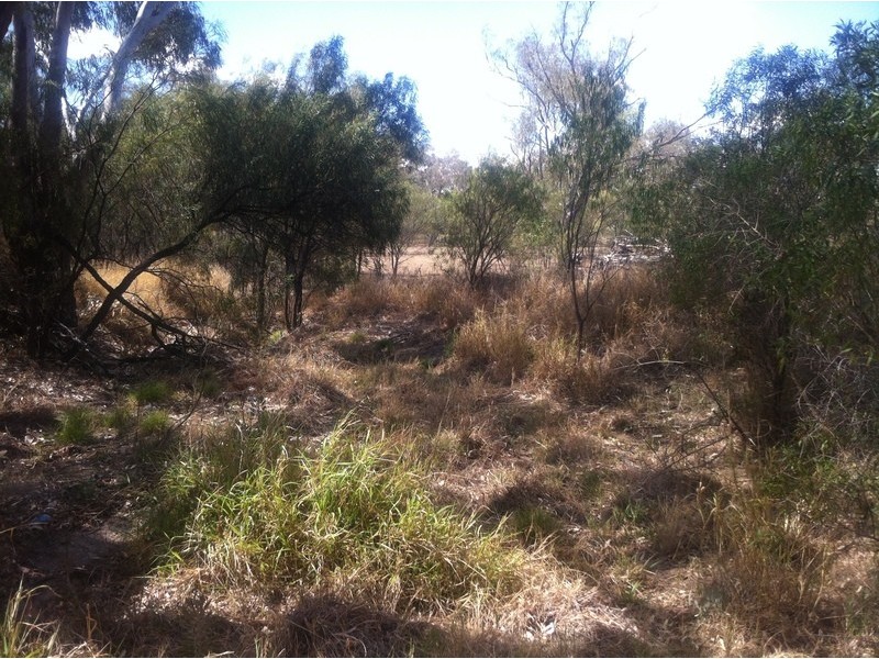 215  St Geroges st, Mungindi NSW 2406