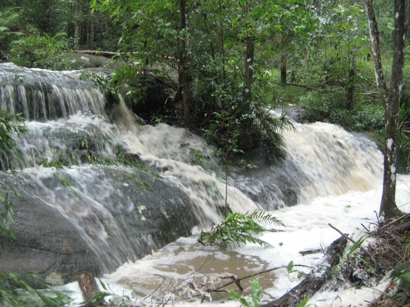 Landsborough QLD 4550