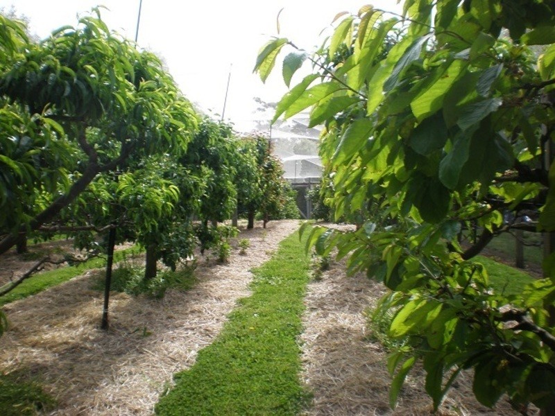 409 Doaks Road, Lilydale TAS 7268