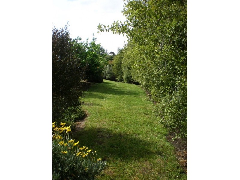 409 Doaks Road, Lilydale TAS 7268