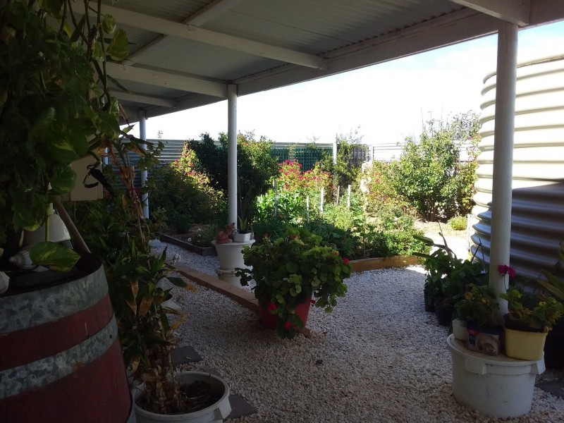 Lot 11 Government Road, Penong SA 5690