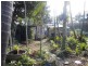 27 Union Street, South Lismore NSW 2480