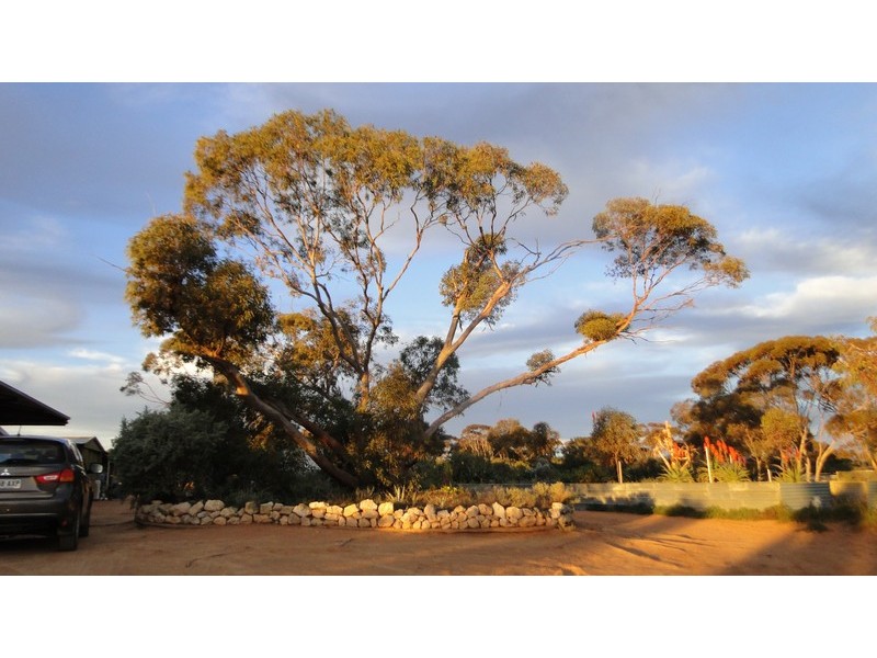 190 RING ROAD, Morgan SA 5320