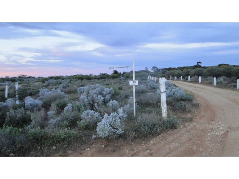 190 RING ROAD, Morgan SA 5320