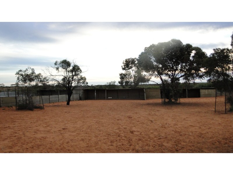 190 RING ROAD, Morgan SA 5320