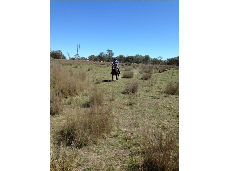 1227 Thunderbolts Way, Bundarra NSW 2359