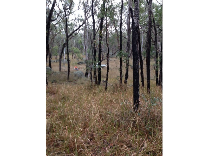 1227 Thunderbolts Way, Bundarra NSW 2359