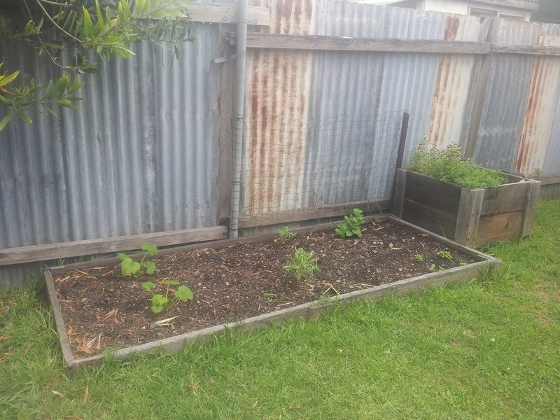 36 Rodgers Street, Carrington NSW 2294