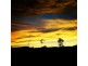 1659 Tully Gorge Road, Dingo Pocket QLD 4854