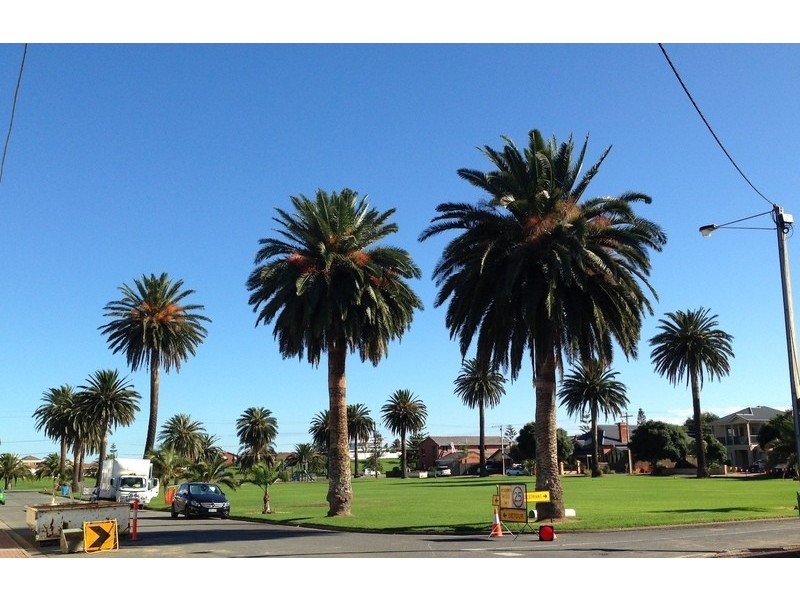 28 Tod Street, Glenelg North SA 5045