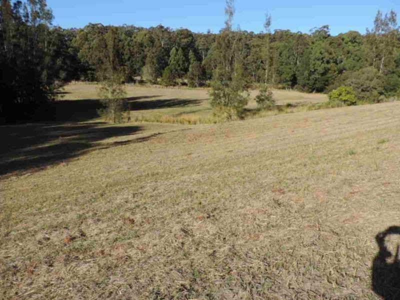 42 Panorama Drive, Diamond Beach NSW 2430