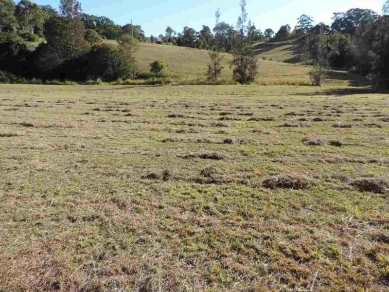 42 Panorama Drive, Diamond Beach NSW 2430