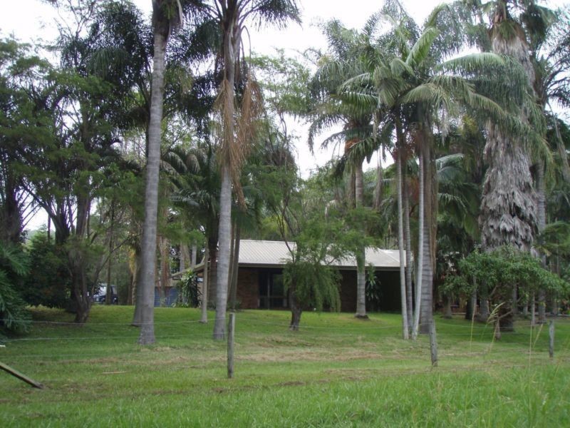 501 Grassy Head Road, Grassy Head NSW 2441