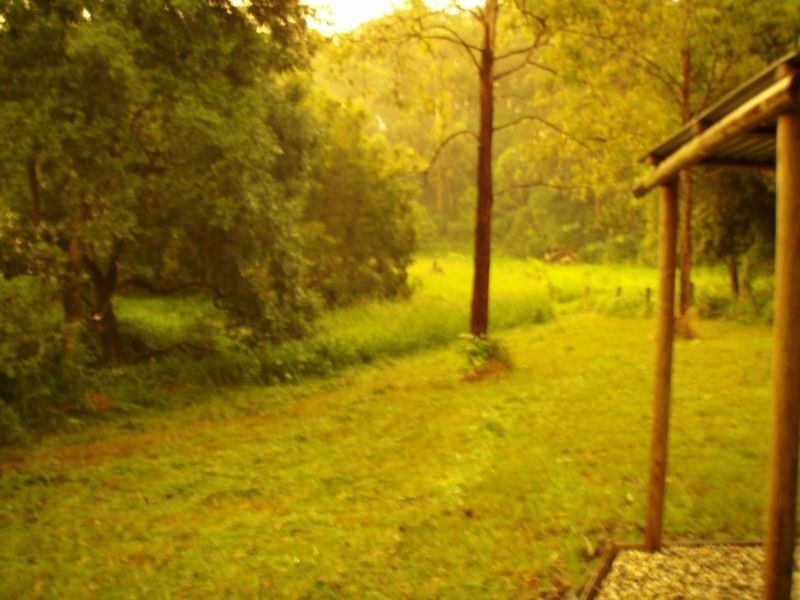 501 Grassy Head Road, Grassy Head NSW 2441