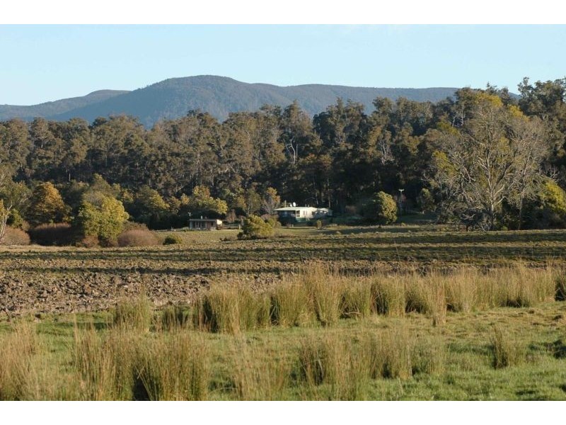 397 Jensens Road, North Scottsdale TAS 7260