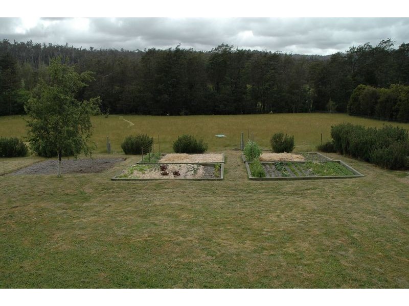 397 Jensens Road, North Scottsdale TAS 7260