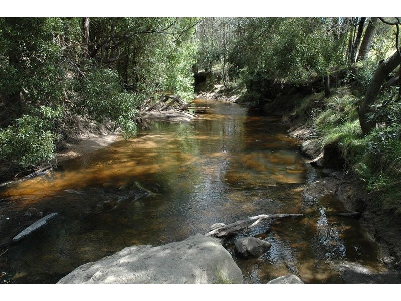 397 Jensens Road, North Scottsdale TAS 7260