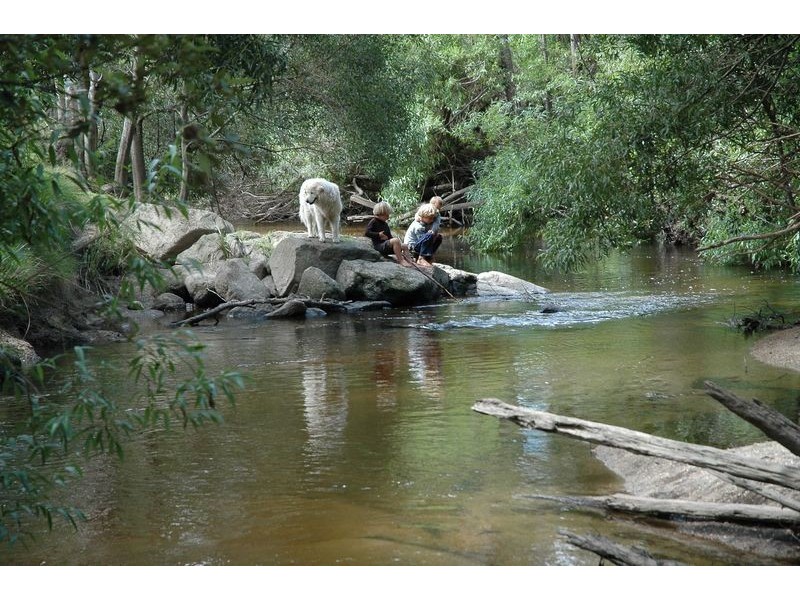 397 Jensens Road, North Scottsdale TAS 7260