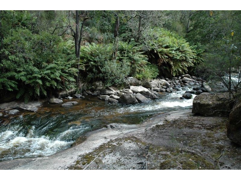 397 Jensens Road, North Scottsdale TAS 7260