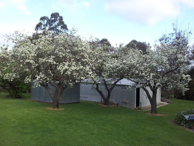 113 Mt Gambier Road, Casterton VIC 3311